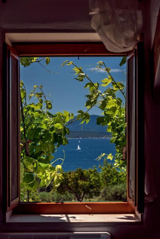 Holiday Home Vineyard House Μπολ Εξωτερικό φωτογραφία